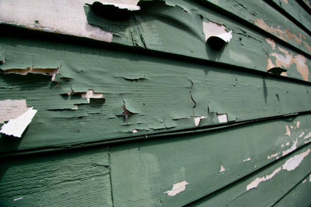 Best Commercial Junk Removal  in Charlotte Harbor, FL
